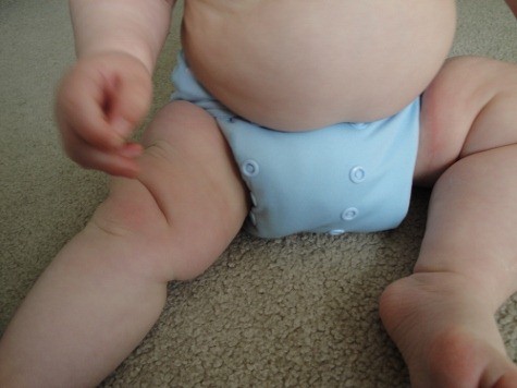 tiny tush pocket diaper