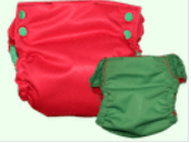 willow sprout change