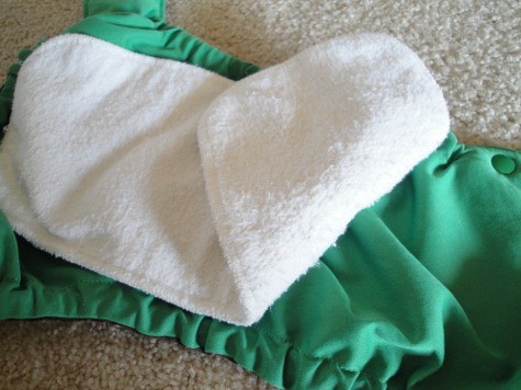 willow sprout insert