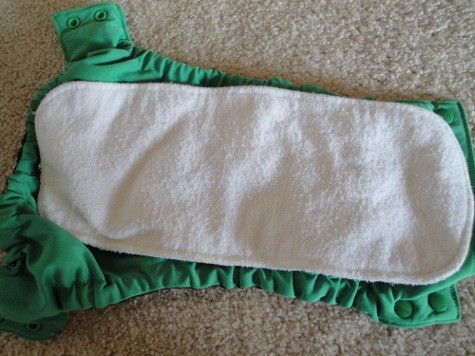 willow sprout insert