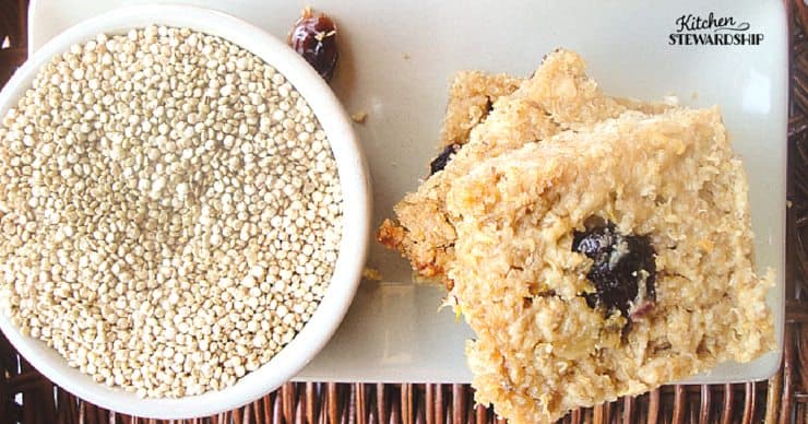 Real food high protein snacks