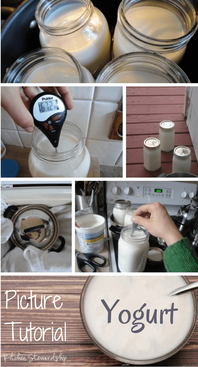How to Make Easy Homemade Yogurt & Save Over $1000/Year