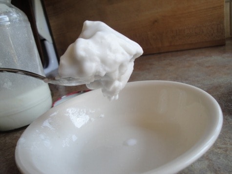 gelatin coconut milk yogurt