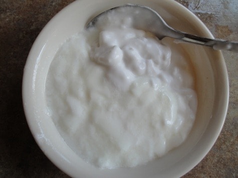gelatin coconut milk yogurt fail