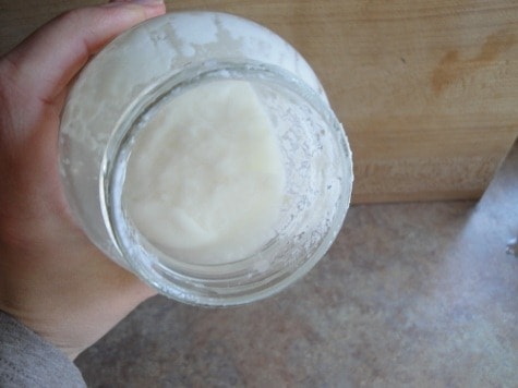 gelatin coconut milk yogurt