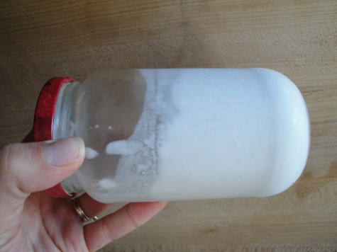 gelatin coconut milk yogurt