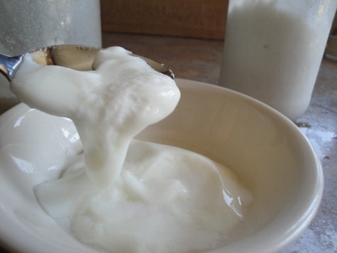 gelatin coconut milk yogurt