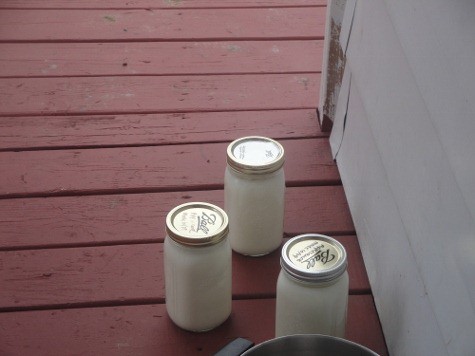 making homemade yogurt