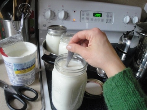 making homemade yogurt