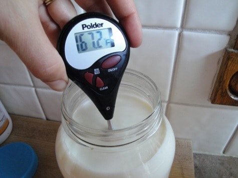 making homemade yogurt raw