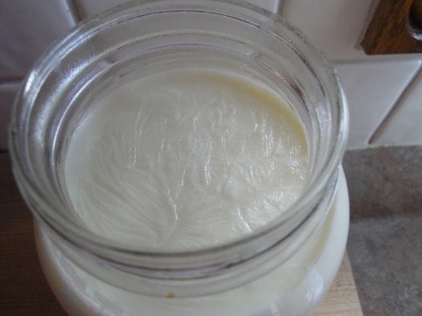making homemade yogurt raw