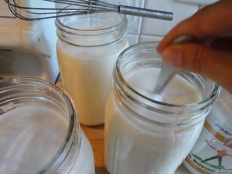 stir the starter into your raw milk yogurt
