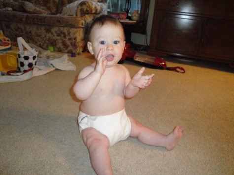 motherease AIO cloth diaper