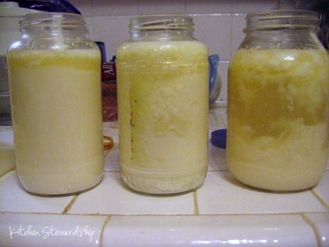 raw milk yogurt, separated yogurt
