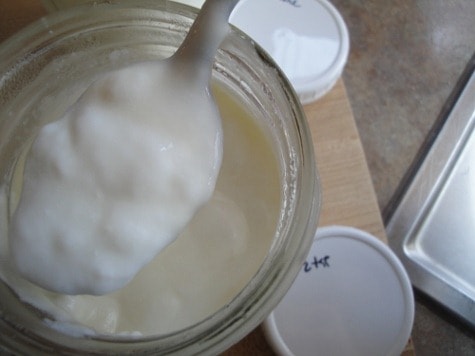 raw milk yogurt with some gelatin