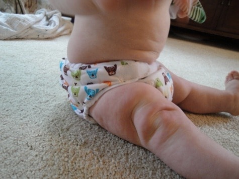 thirstie duo cloth diaper