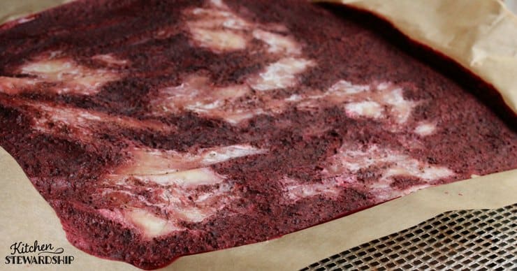 How To Dehydrate Yogurt