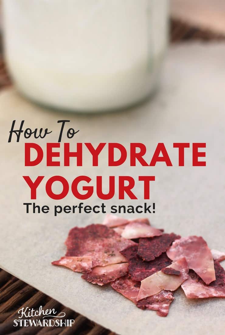 How To Dehydrate Yogurt