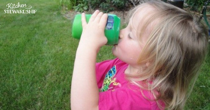 Safe Sippy Cups