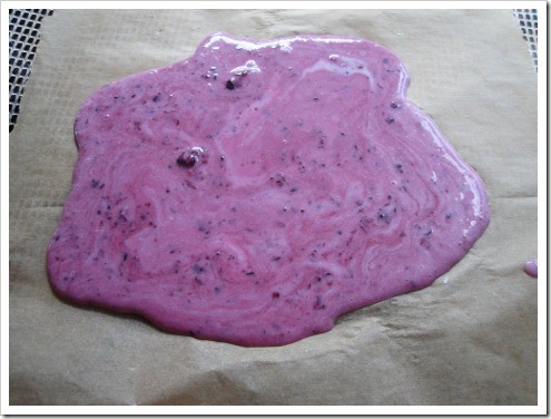 dehydrated yogurt (10) (475x356)