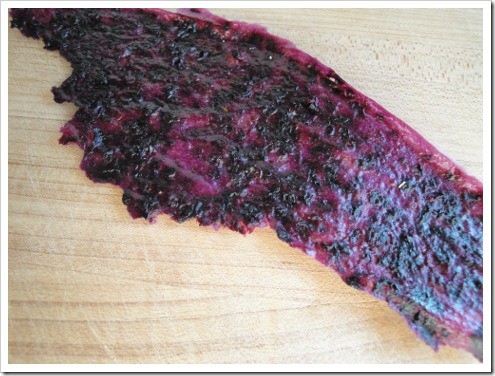 dehydrated yogurt (14) (475x356)