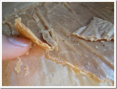 dehydrated yogurt (6) (475x356)