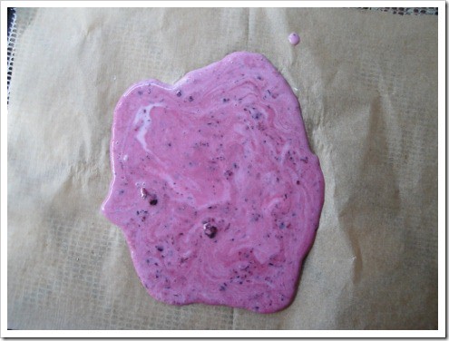 dehydrated yogurt (8) (475x356)