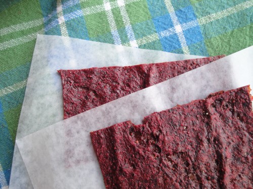 Use a dehydrator or even an oven to make simple fruit leather - the homemade, real fruit version of a fruit roll-up. 4 square feet in 3 minutes!