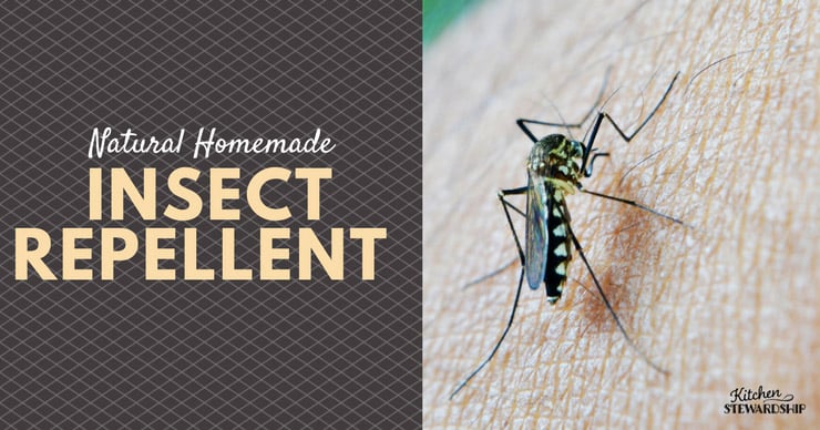 Use these natural, homemade insect repellent options and recipes to keep the bugs away safely!