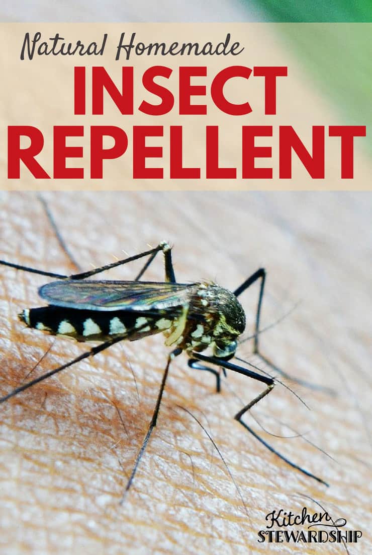 Natural Insect Repellent Options