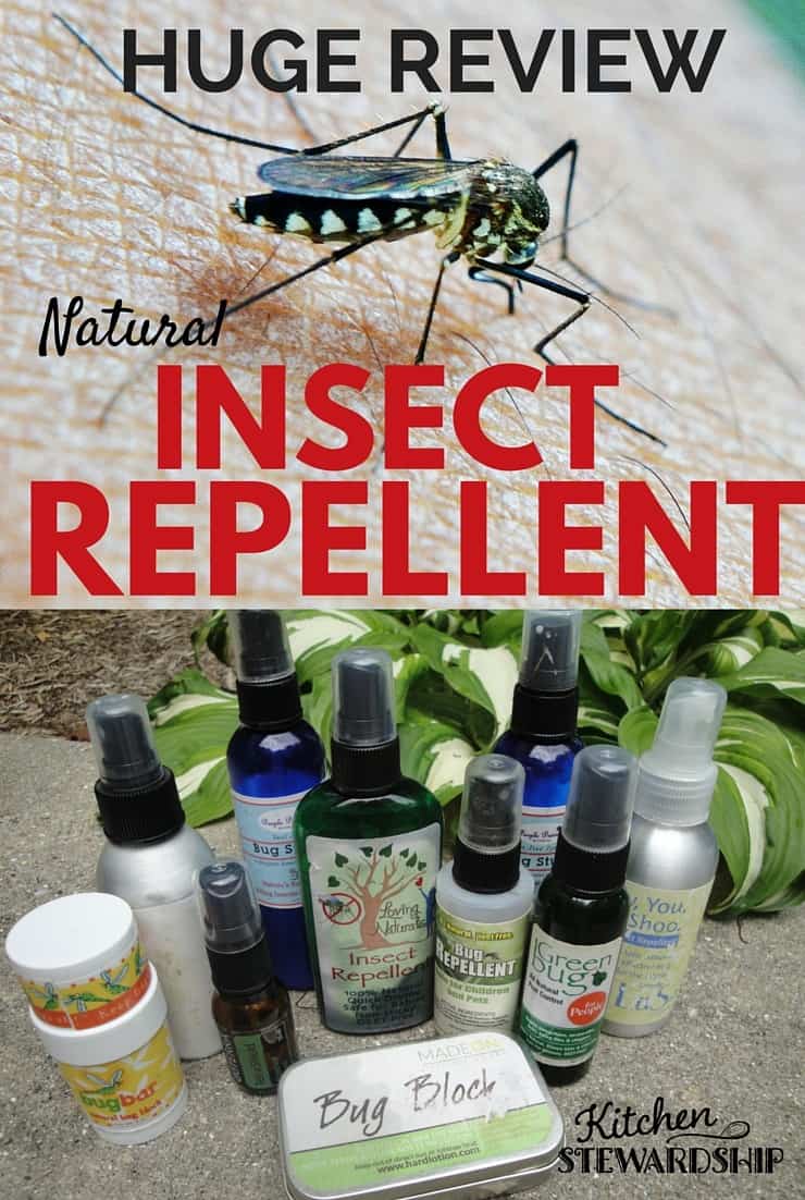 Natural bug repellent bottles lined up together and a bug on skin.