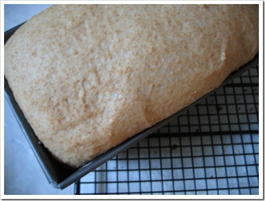 Sandra's Bread (1) (500x375)