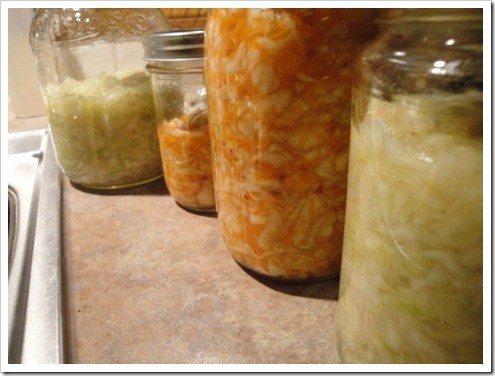 fermented sauerkraut and kimchi