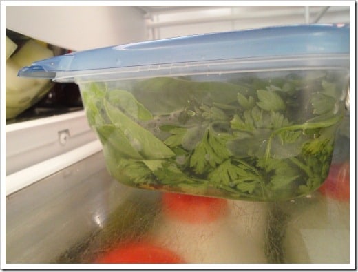 How to Store Fresh Herbs the easy way