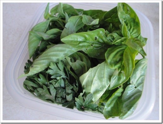 How to Store Fresh Herbs the easy way