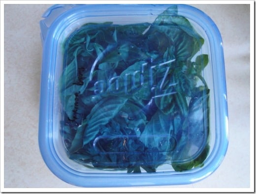 How to Store Fresh Herbs the easy way