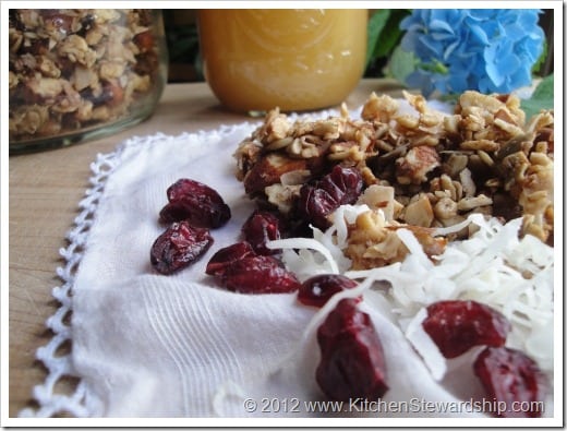 grain free homemade granola smaller (5)