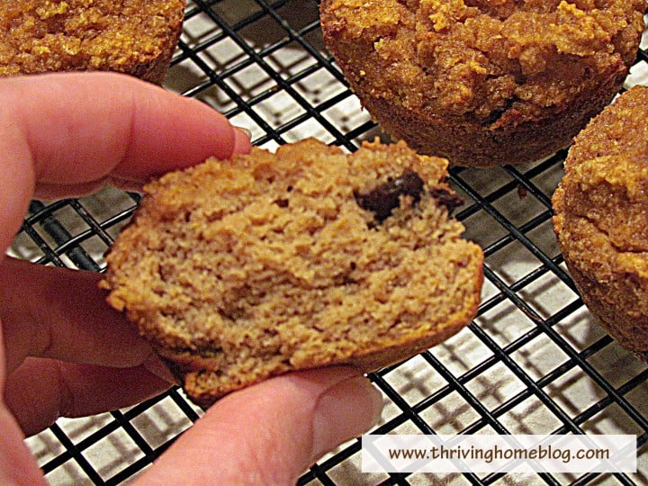 Coconut Flour Pumpkin Chocolate Chips Muffins