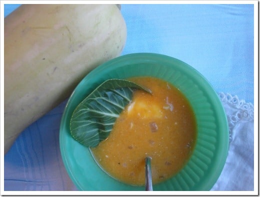 roasted garlic and butternut squash soup (1) (500x375)