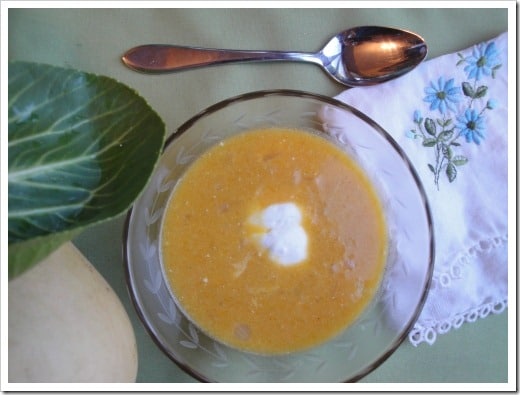 roasted garlic and butternut squash soup (14) (500x375)