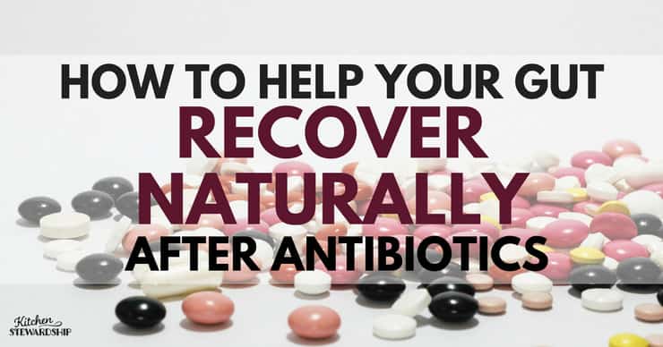 How to Help Your Gut Recover Naturally After Antibiotics