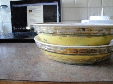 storing pies without using disposables (475x356)
