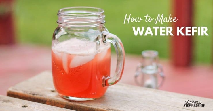How to Make Water Kefir - an easy probiotic drink!