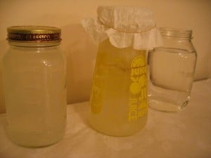 Water kefir jars in a row