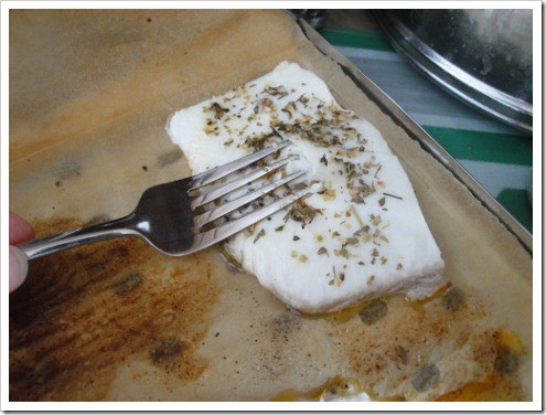 Alaskan halibut broiling fish
