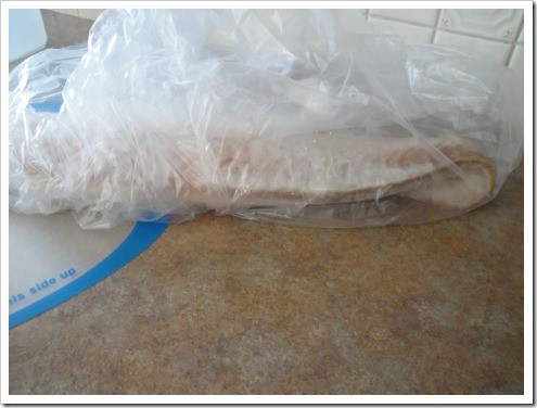 Alaskan halibut cutting and thawing