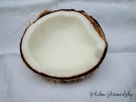 coconut