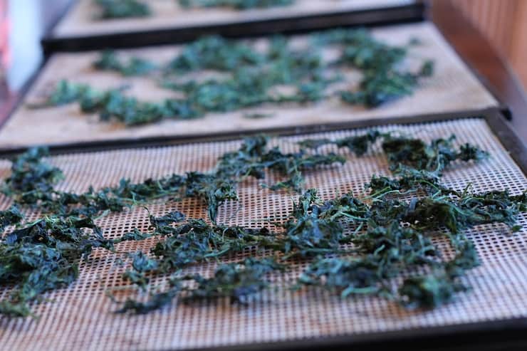 dehydrated greens