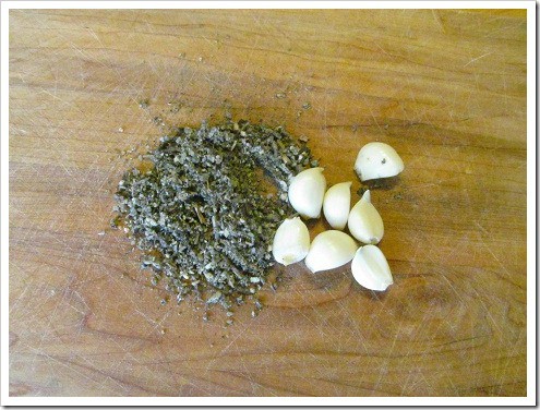 garlic mullein ear oil for earaches in children