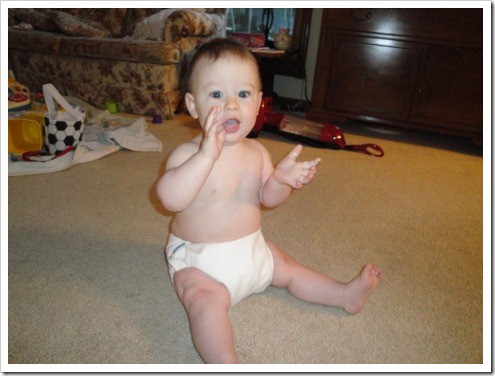 motherease AIO cloth diaper (4) (475x356)